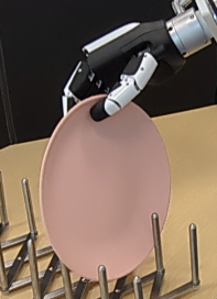 Plate Cover